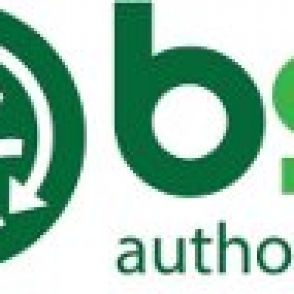 BSL Logo