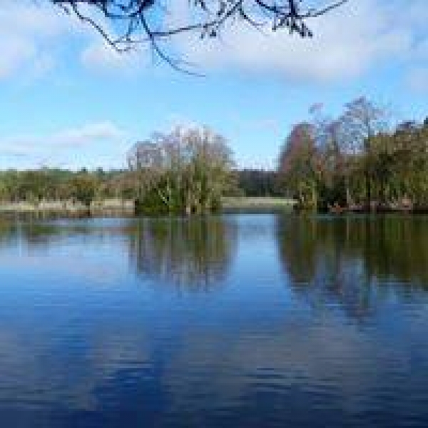 lake