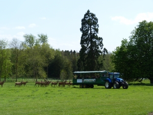 tractor and trailer