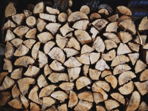 Kiln dried logs at Stourton Estates