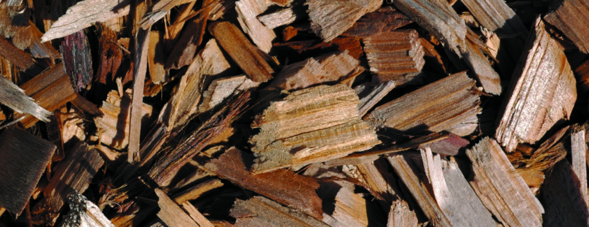 Wood chip