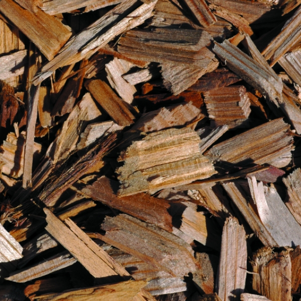 Wood chip