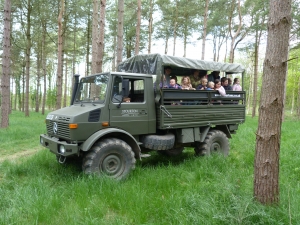 unimog, deer safari, woods, arboretum, christmas, treat, red deer, safari