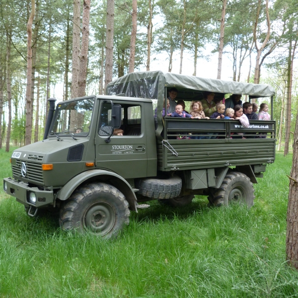 unimog, deer safari, woods, arboretum, christmas, treat, red deer, safari