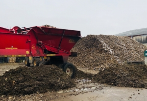 Stourton Estates Sugar beet harvest