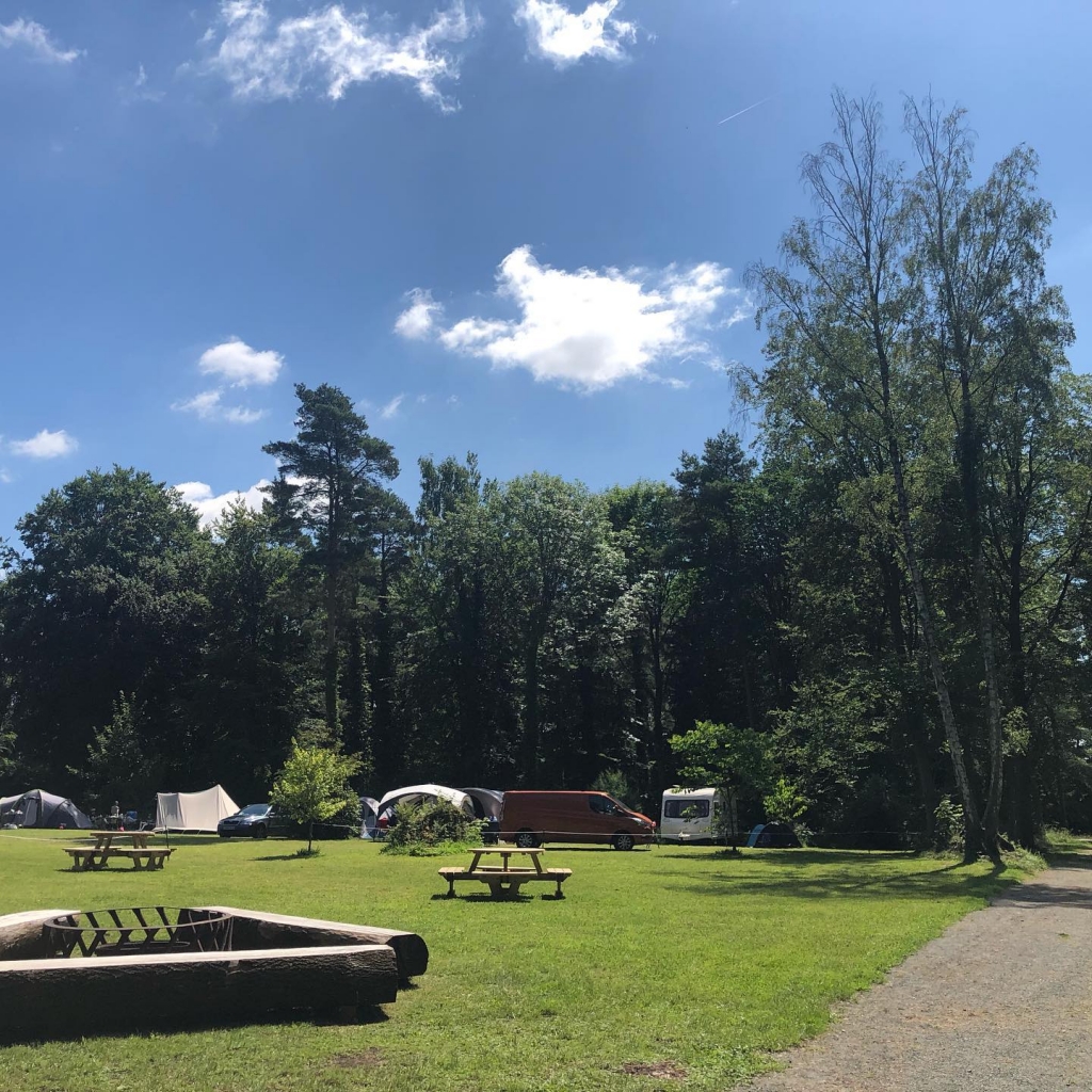 Sunflower Experience Camping Stourton Estates