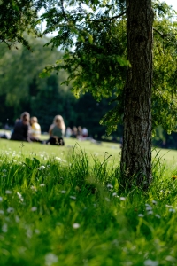 Picnic in the woods at Stourton Estates